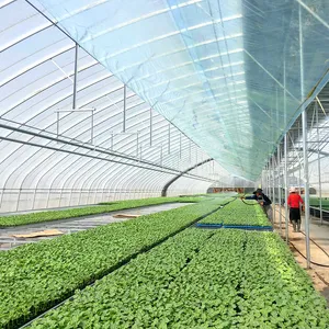 Greenhouse Films